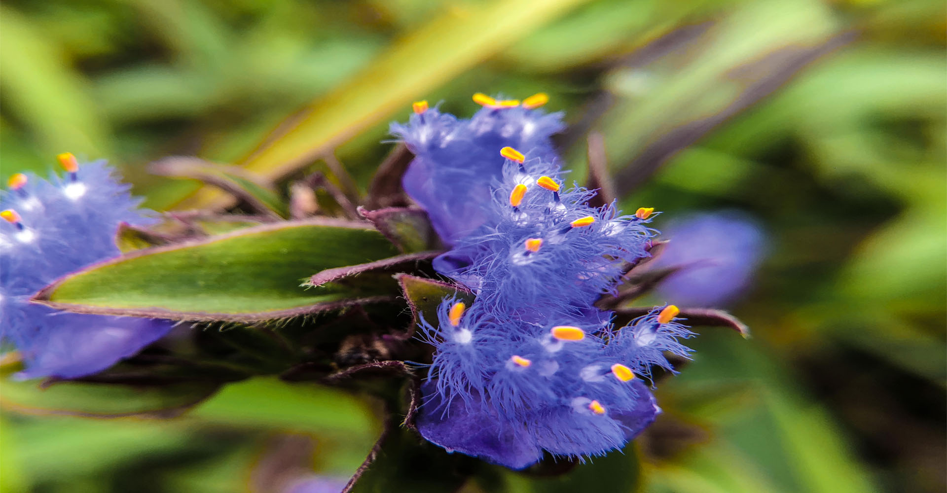 海纳百川 守正创新